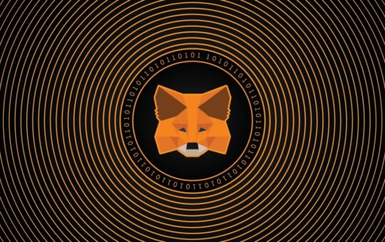 Metamask Launches Crypto Card in Argentina
