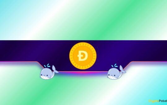 Is DOGE Poised for a Rally?