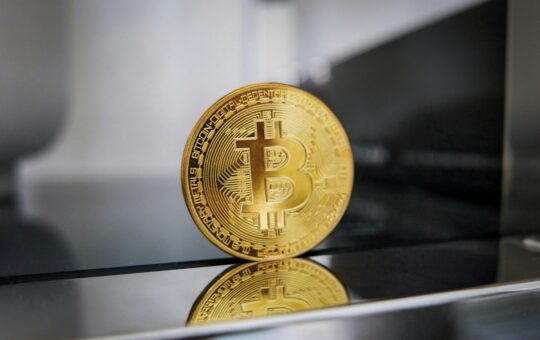 Satoshi Nakamoto, Craig Wright, Mt. Gox, Bitcoin, crypto