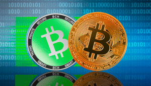 Bitcoin Cash
