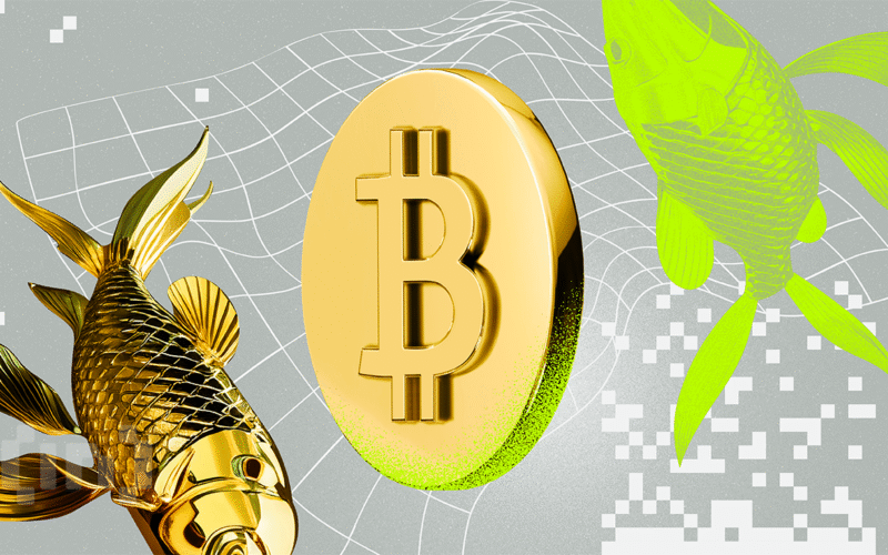Gold Surges While Bitcoin Slips as Iran Threatens Retaliation
