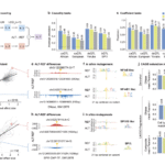 Google DeepMind Releases AlphaGenome: A Deep Learning Model that can more Comprehensively Predict the Impact of Single Variants or Mutations in DNA