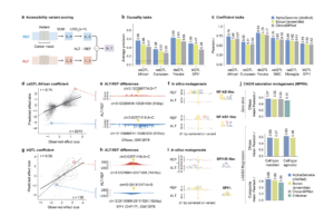 Google DeepMind Releases AlphaGenome: A Deep Learning Model that can more Comprehensively Predict the Impact of Single Variants or Mutations in DNA
