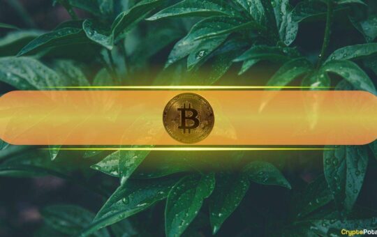 Bitcoin's Healthy Volatility Band Points to Realistic $130K Target