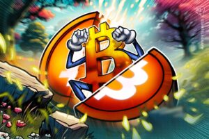 13 Years Since Bitcoin’s First Halving: Mining In 2025